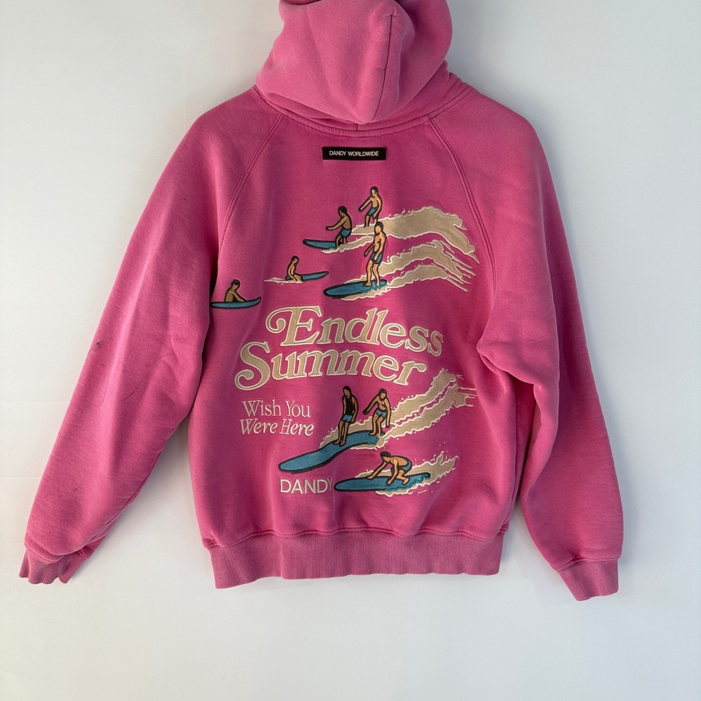 Dandy Worldwide Hoodie Womens XS Pink Endless Summer Surf Embroidered Sweatshirt